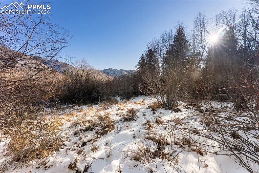 9660 Fountain Road Cascade, CO 80809 - Photo 11 of 21 a view of a dry yard covered with snow in the background