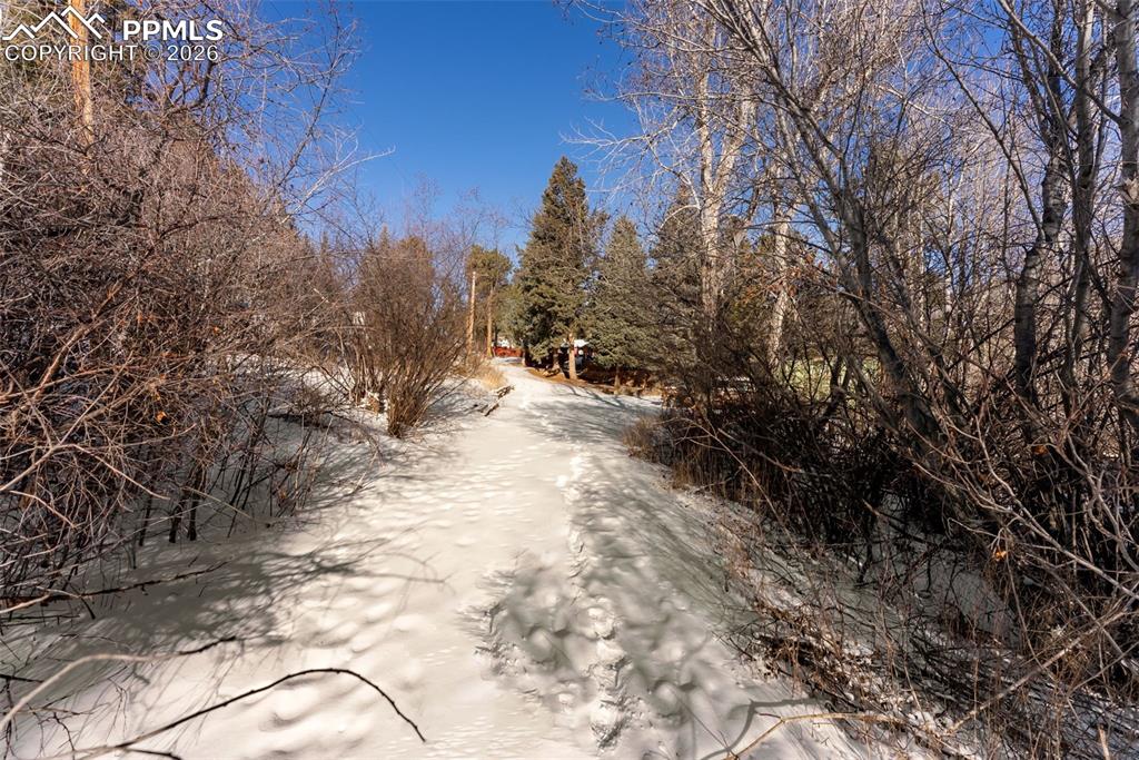 9660 Fountain Road Cascade, CO 80809 - Photo 13 of 21 a view of a yard covered with snow in the background