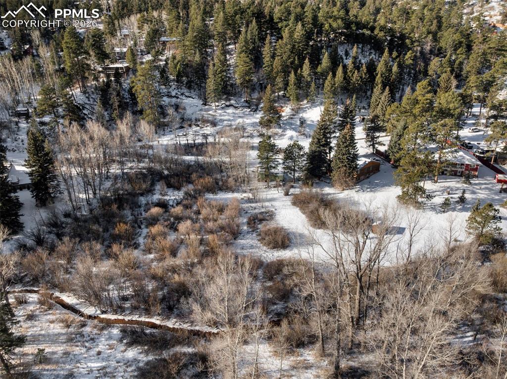 9660 Fountain Road Cascade, CO 80809 - Photo 14 of 21 a view of a yard with lots of bushes