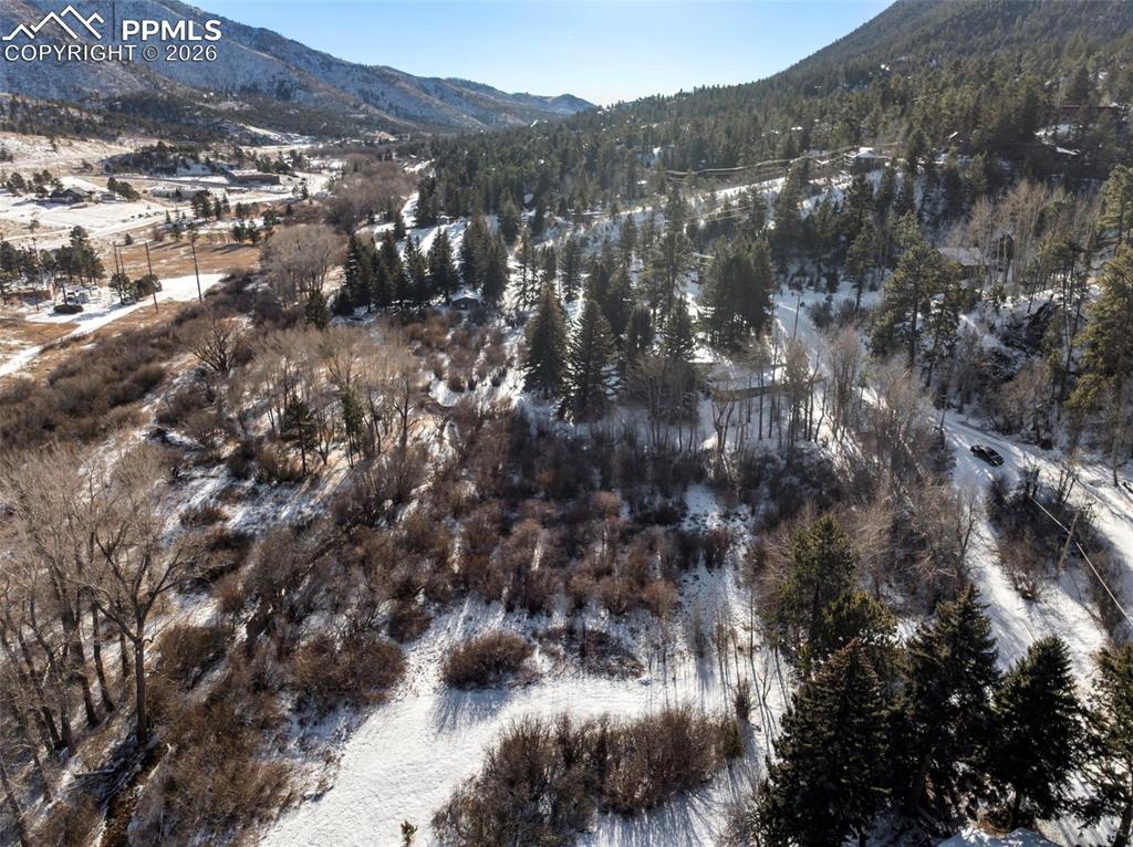 9660 Fountain Road Cascade, CO 80809 - Photo 17 of 21