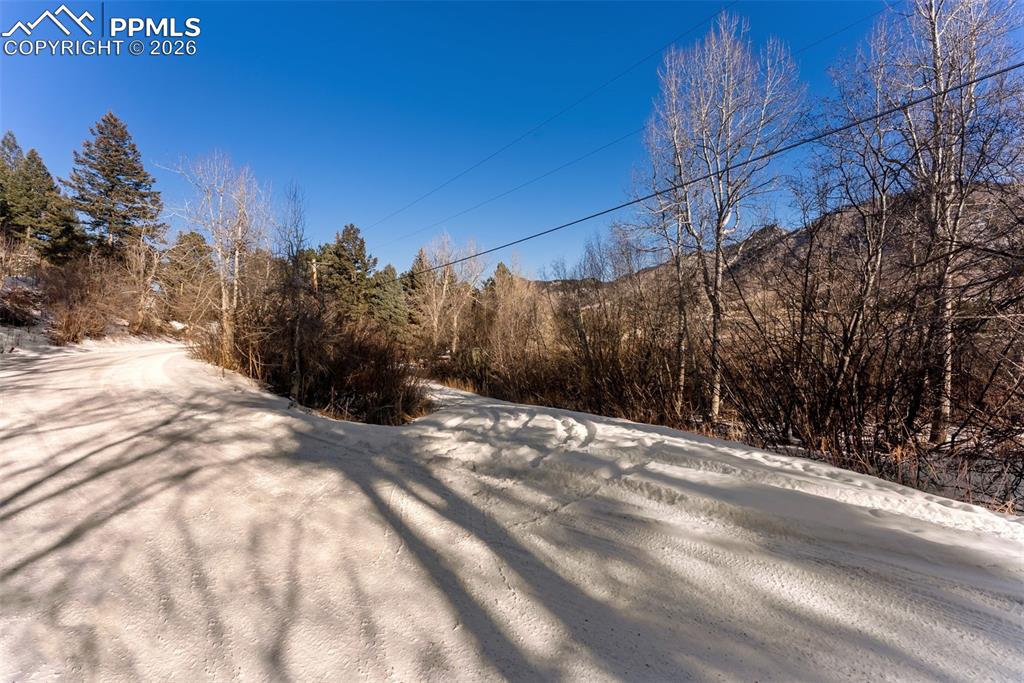 9660 Fountain Road Cascade, CO 80809 - Photo 3 of 21 a view of a backyard of the house