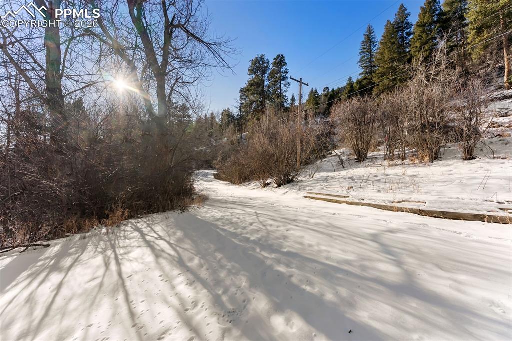9660 Fountain Road Cascade, CO 80809 - Photo 4 of 21 a view of a yard covered in snow