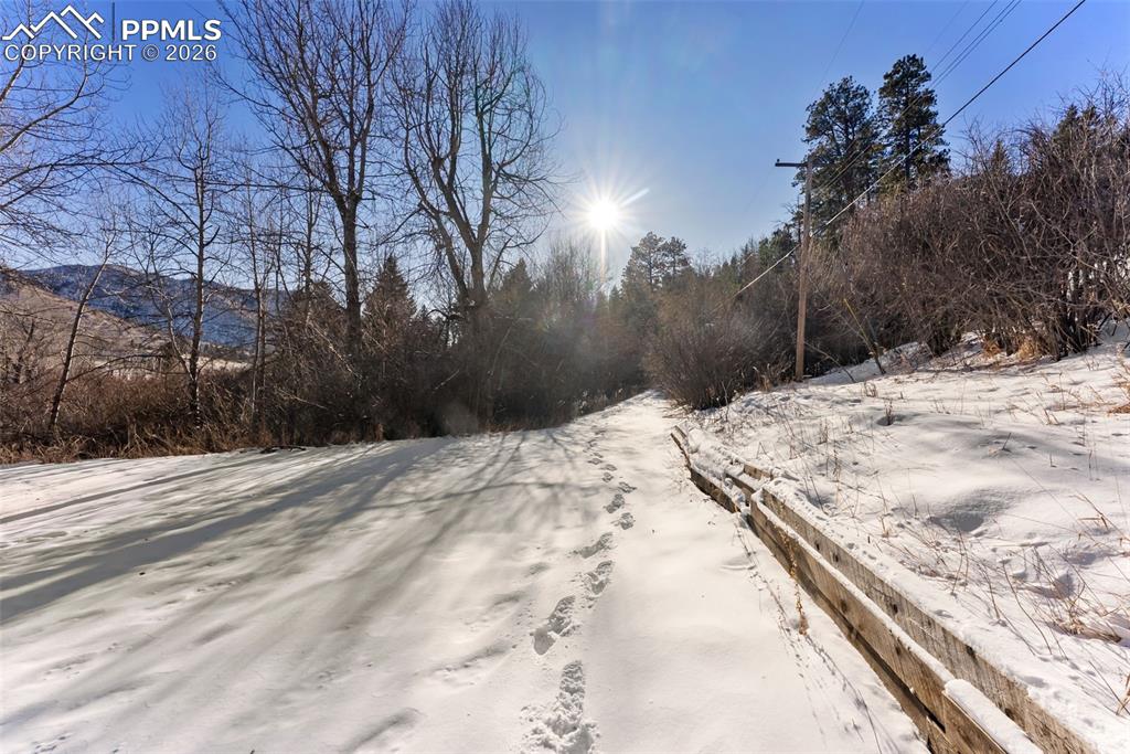 9660 Fountain Road Cascade, CO 80809 - Photo 5 of 21 a view of a backyard of the house