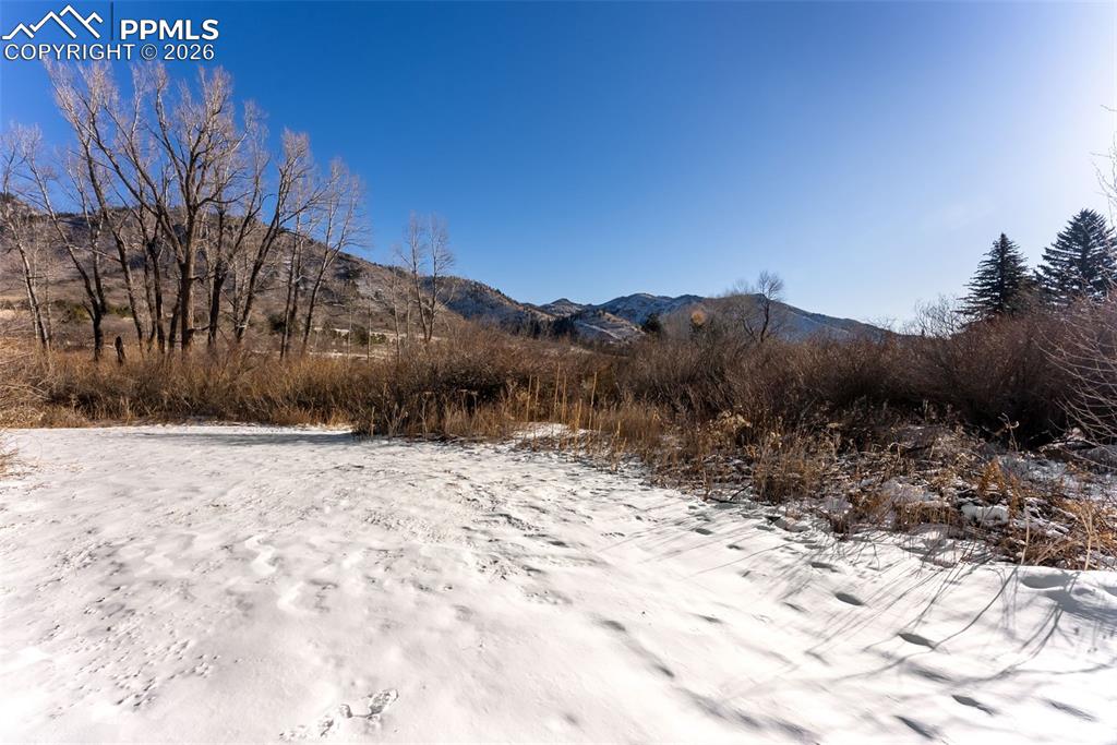 9660 Fountain Road Cascade, CO 80809 - Photo 6 of 21 a view of a yard covered with snow in front of house