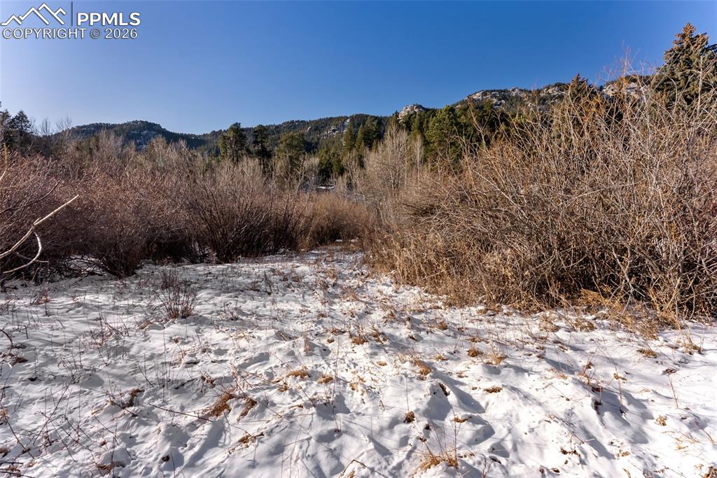 9660 Fountain Road Cascade, CO 80809 - Photo 7 of 21 a view of a dry yard with mountains in the background