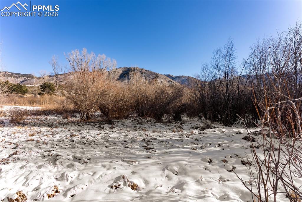 9660 Fountain Road Cascade, CO 80809 - Photo 8 of 21 a view of a dry yard with trees in the background
