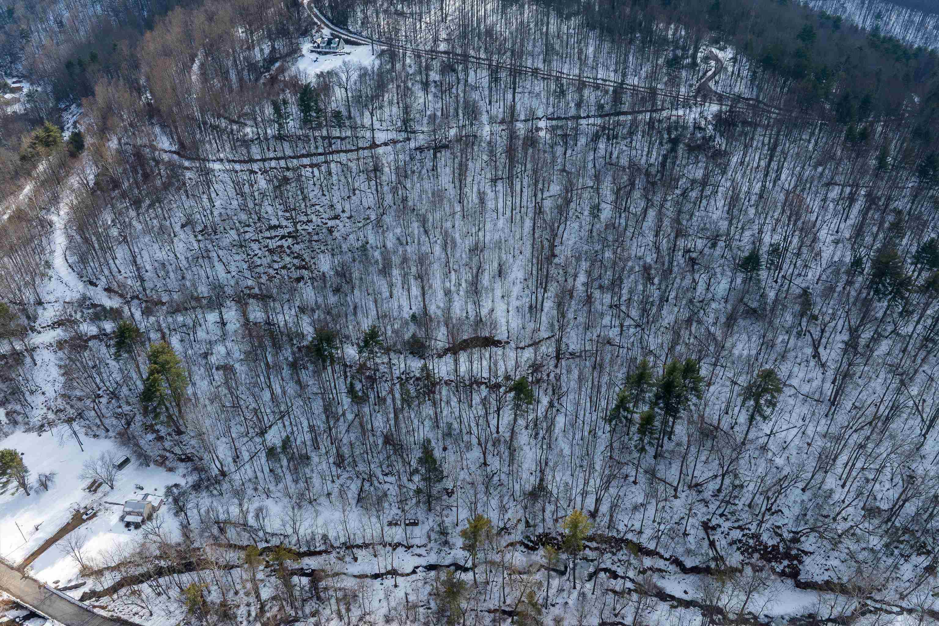 Lot 9 Overlook Mountain Road Elkton, VA 22827 - Photo 15 of 20 a view of a dry yard