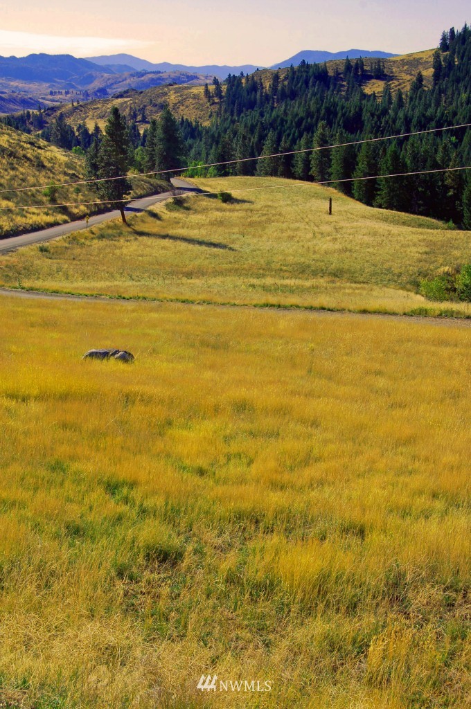 154 Cub Creek Road Winthrop, WA 98862 - Photo 3 of 25 Gallery Image 3
