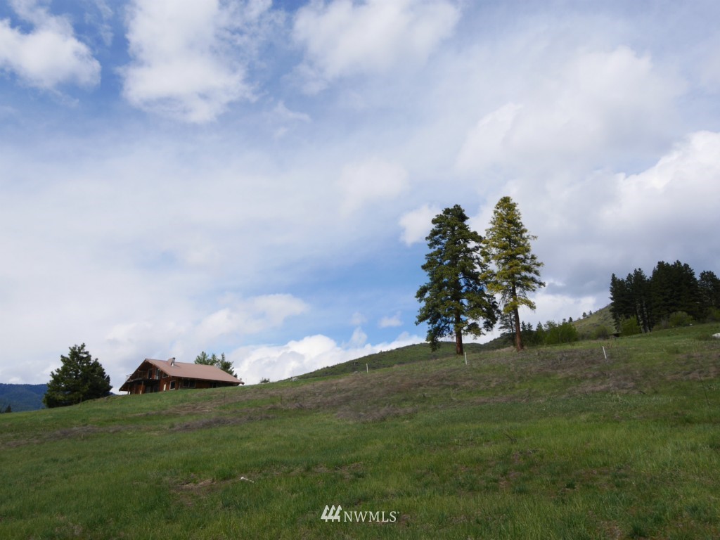 154 Cub Creek Road Winthrop, WA 98862 - Photo 23 of 25 Gallery Image 23