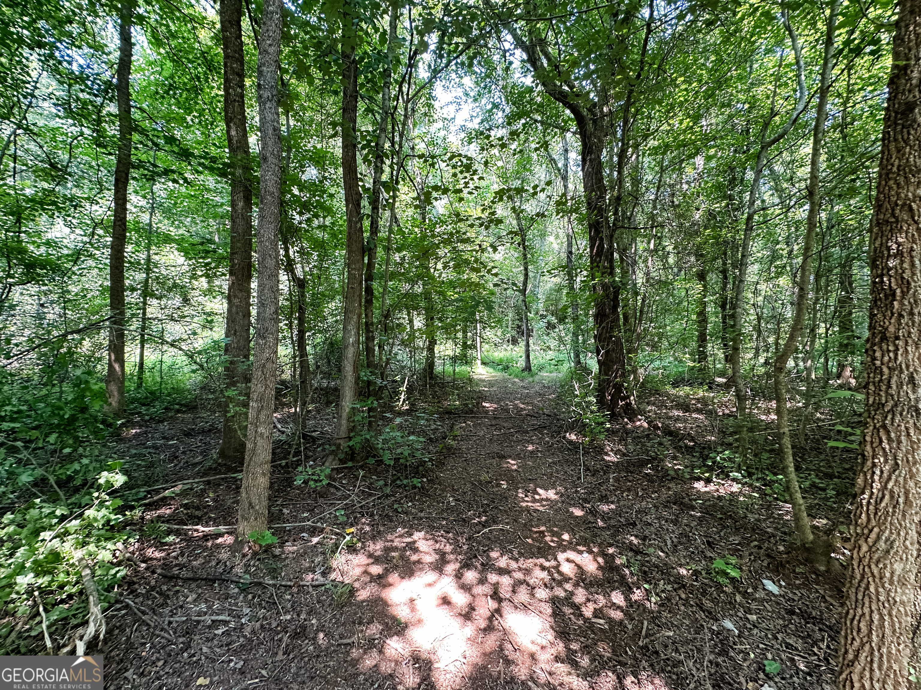 0 Jordan Road, Unit 17 79 ACRES Monticello, GA 31064 - Photo 29 of 38 Gallery Image 29
