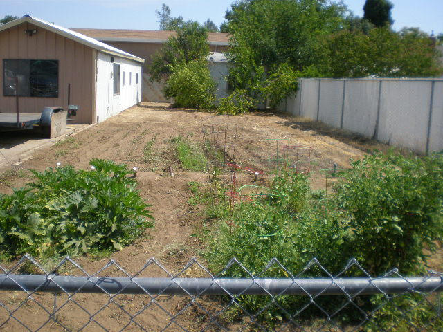 19255 Anna Road Anderson, CA 96007 - Photo 23 of 26 P7240025