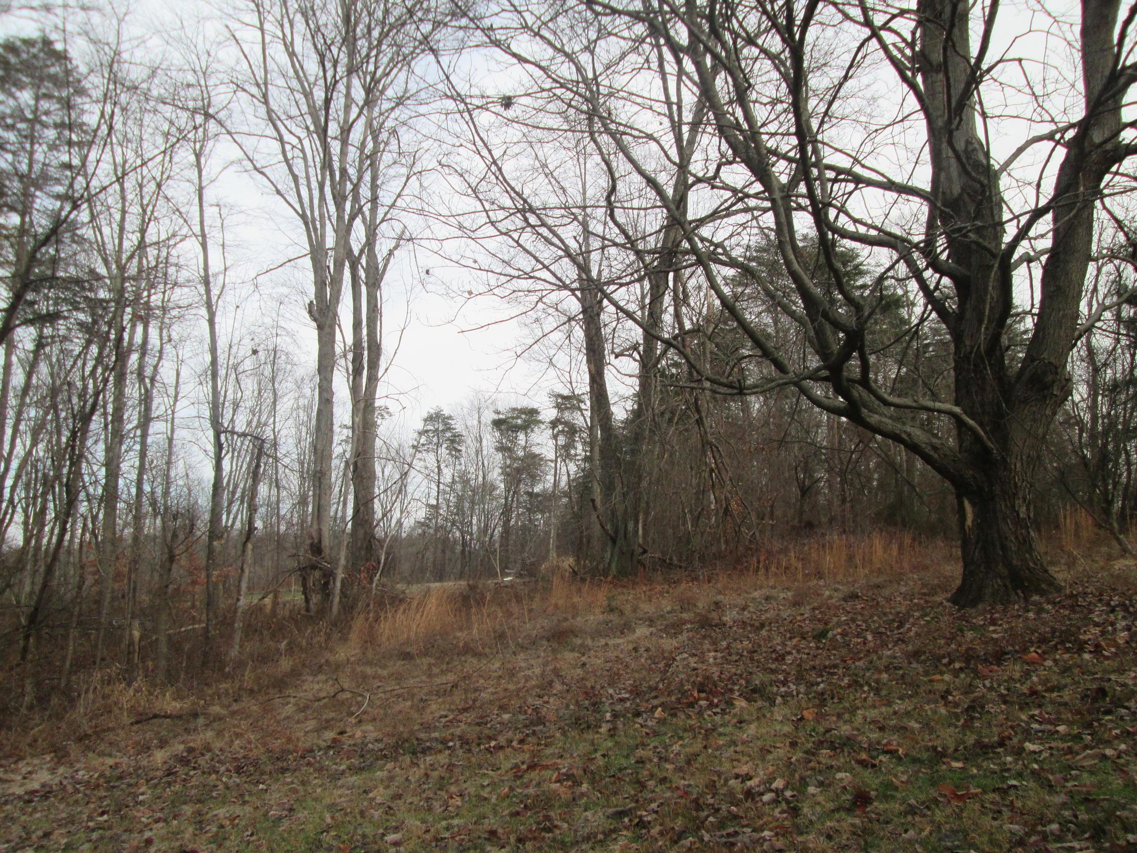 7795 Dupler Road Southeast Sugar Grove, OH 43155 - Photo 12 of 32