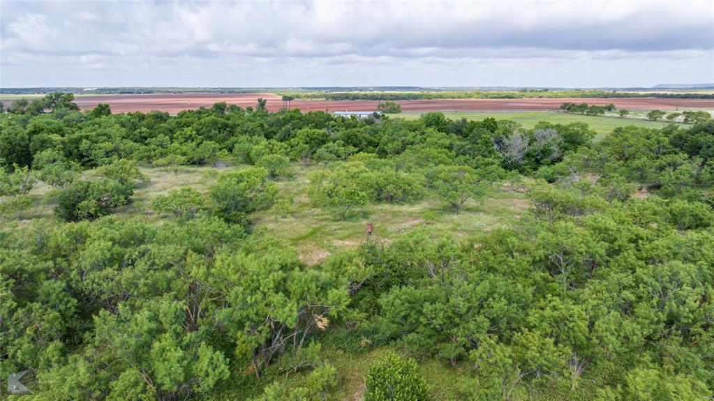 801 Highway 153 Wingate, TX 79566 - Photo 27 of 39 a view of a yard and an ocean beach