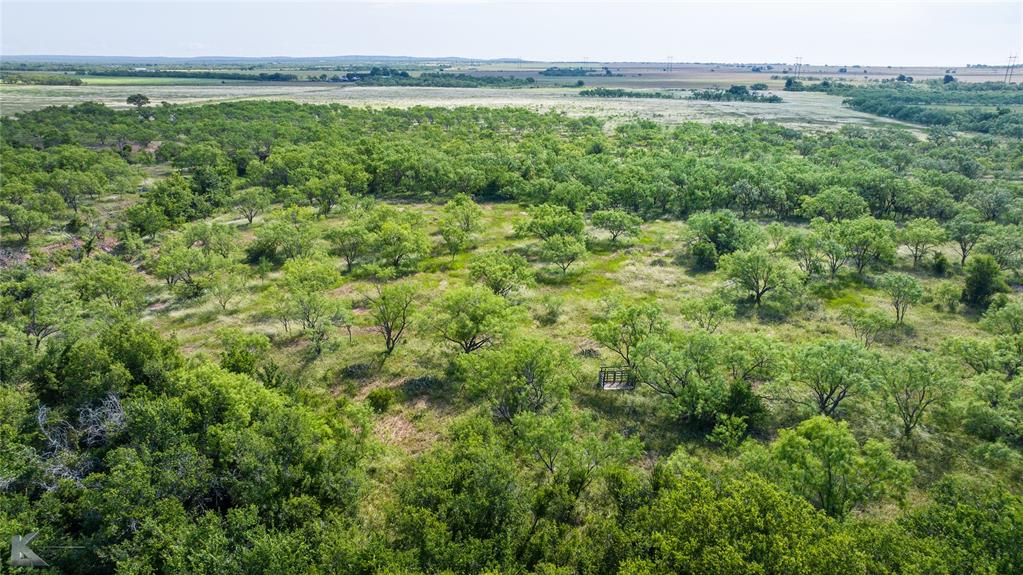 801 Highway 153 Wingate, TX 79566 - Photo 33 of 39 a view of a lush green forest with trees and some houses