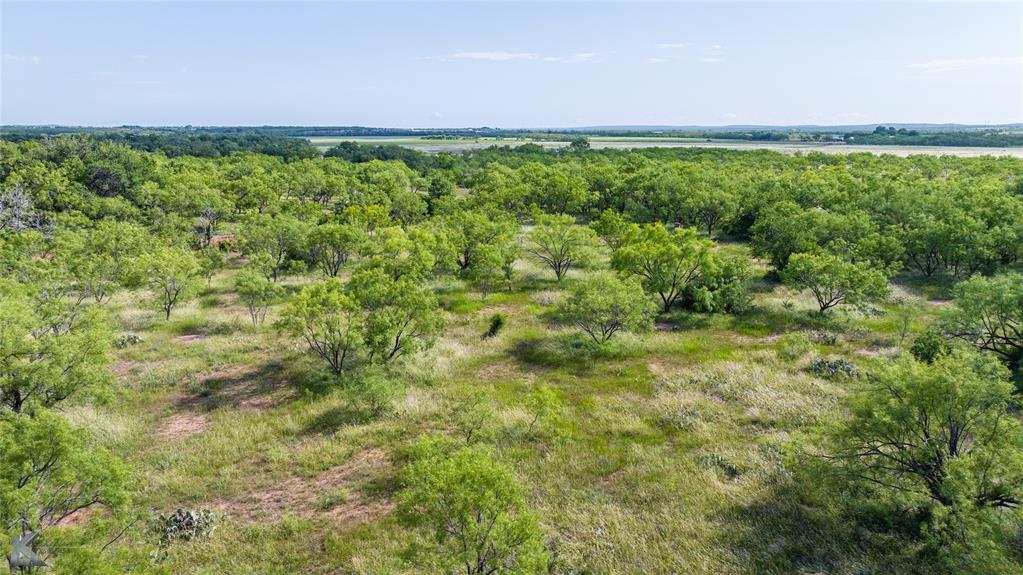 801 Highway 153 Wingate, TX 79566 - Photo 34 of 39