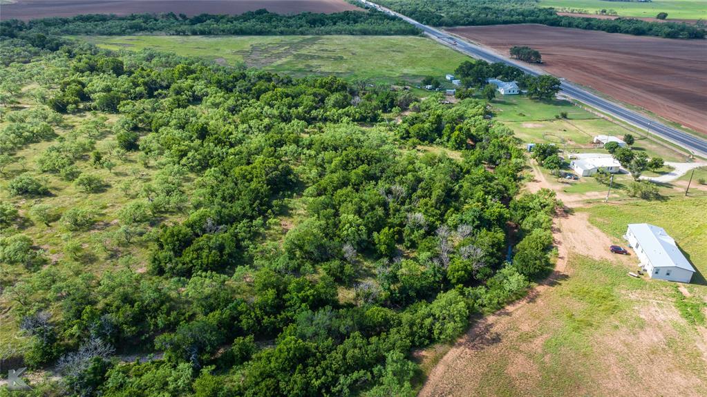 801 Highway 153 Wingate, TX 79566 - Photo 4 of 39 a view of a yard with a tree