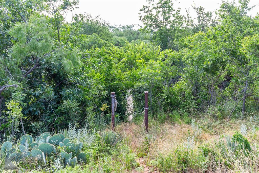 801 Highway 153 Wingate, TX 79566 - Photo 5 of 39 a view of outdoor space and green space