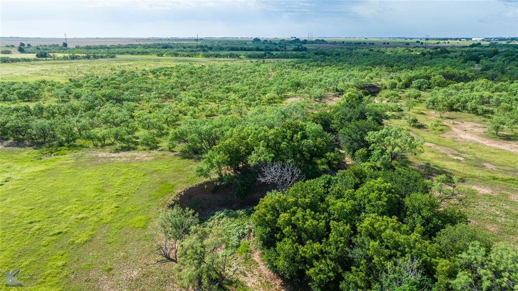 801 Highway 153 Wingate, TX 79566 - Photo 6 of 39 a view of a garden with a lake