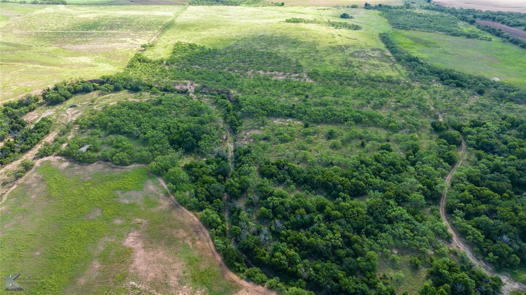 801 Highway 153 Wingate, TX 79566 - Photo 7 of 39 a view of a yard with an trees
