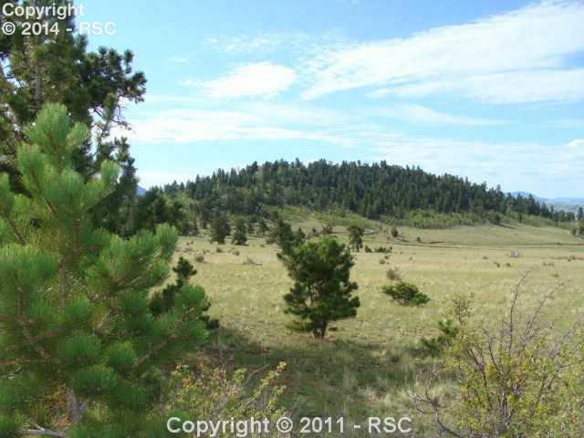 7512 Jefferson Road Lake George, CO 80827 - Photo 1 of 13