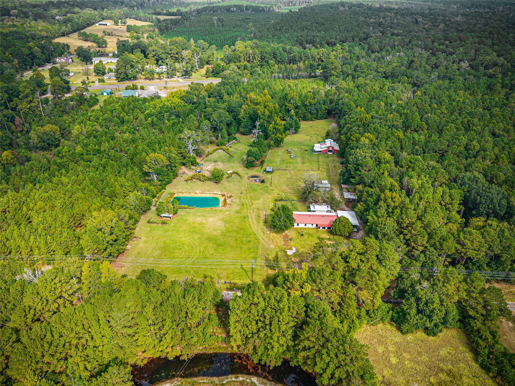 577 County Road 138 Jasper, TX 75951 - Photo 5 of 45 a plant view with swimming pool and green space
