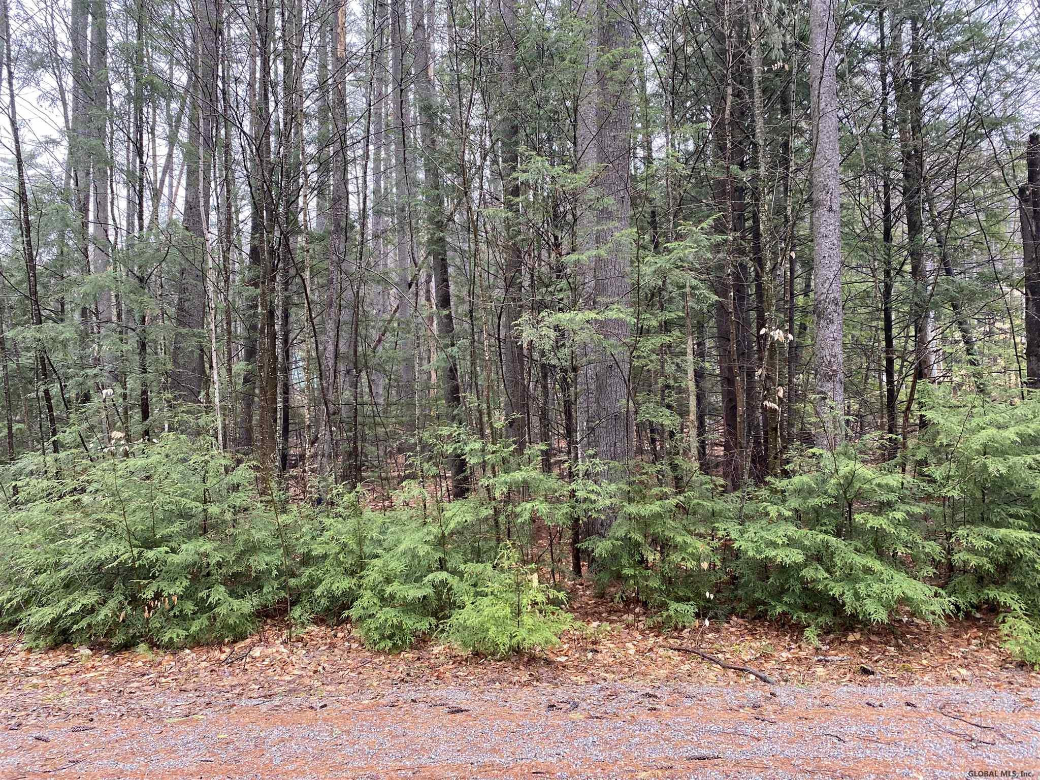 0 Loon Lake Heights Road Chestertown, NY 12817 - Photo 2 of 18 Photo 1