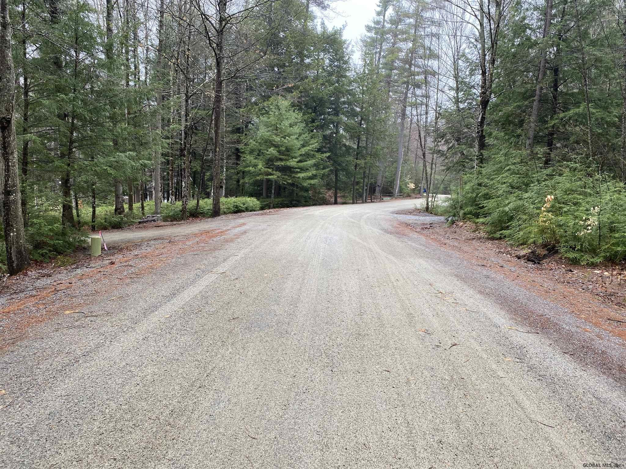 0 Loon Lake Heights Road Chestertown, NY 12817 - Photo 3 of 18 Photo 2