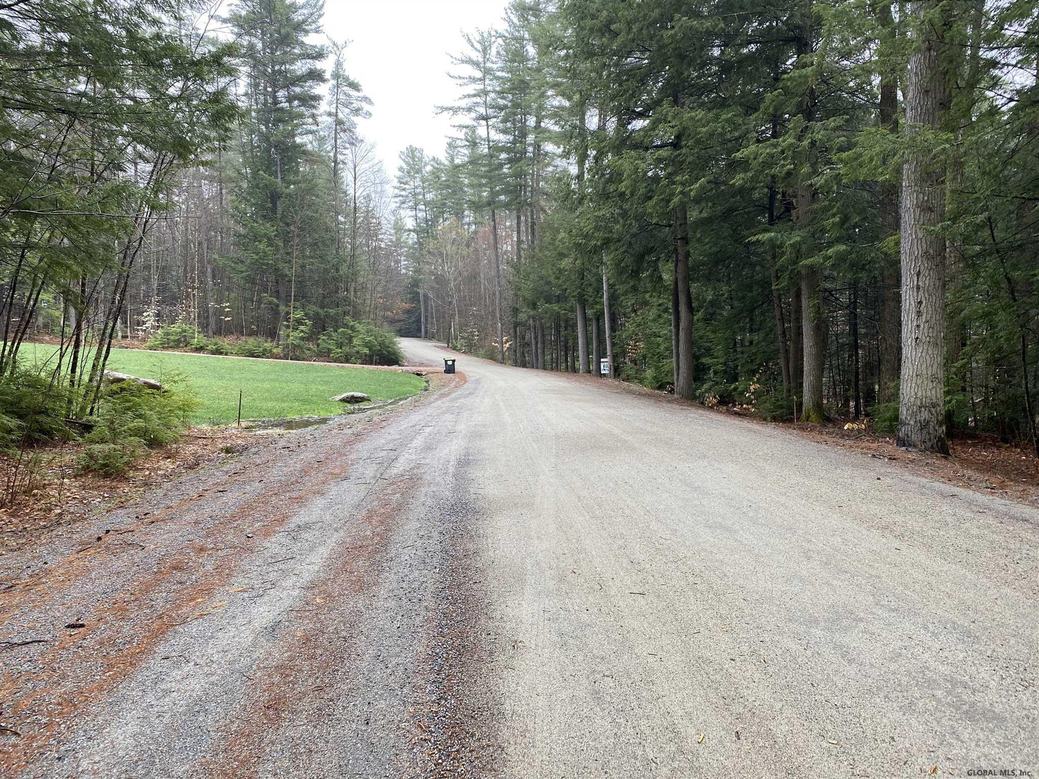 0 Loon Lake Heights Road Chestertown, NY 12817 - Photo 4 of 18 Photo 3