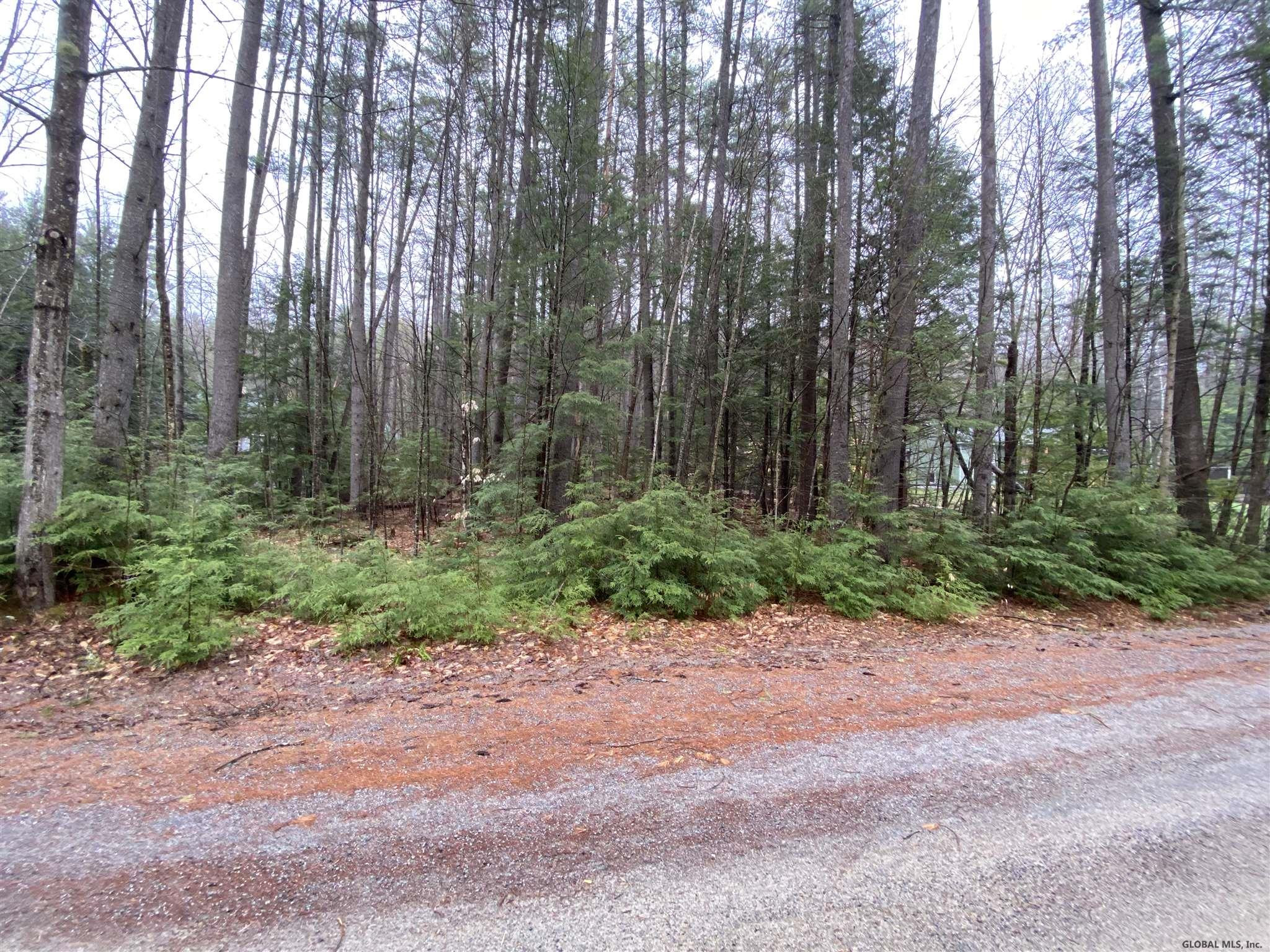 0 Loon Lake Heights Road Chestertown, NY 12817 - Photo 5 of 18 Photo 4