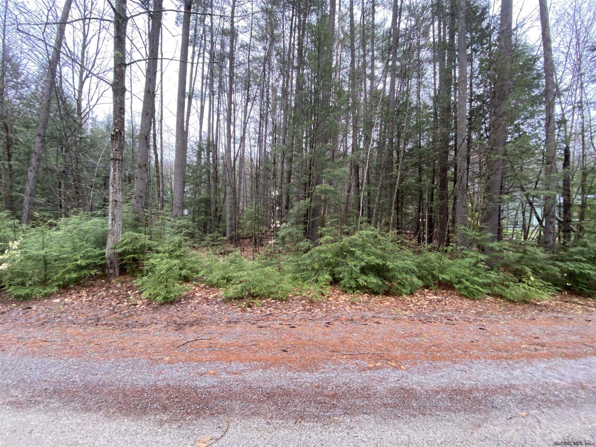 0 Loon Lake Heights Road Chestertown, NY 12817 - Photo 6 of 18 Photo 5