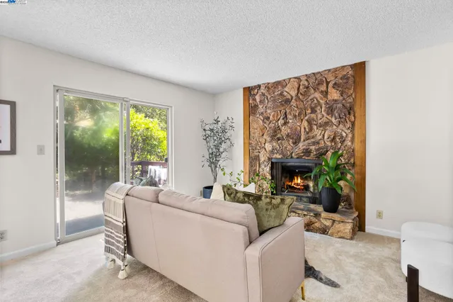 a living room with furniture a fireplace and a floor to ceiling window