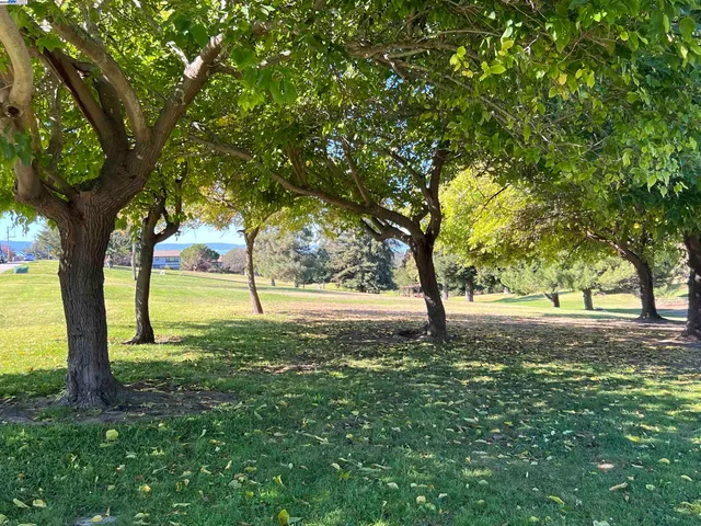 a view of outdoor space with trees