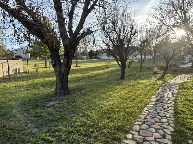 624 East Cutler Springville, UT 84663 - Photo 2 of 24 Backyard expansive green lawn with mature fruit & nut trees and a winding paver stone pathway with private entrance to park