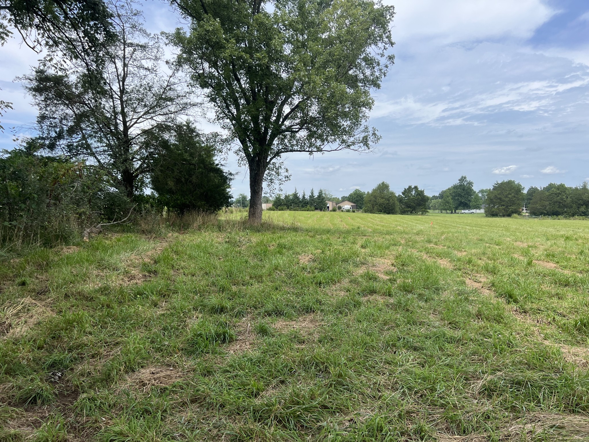 1025 Mill Road Lebanon, TN 37090 - Photo 14 of 16 Gallery Image 14