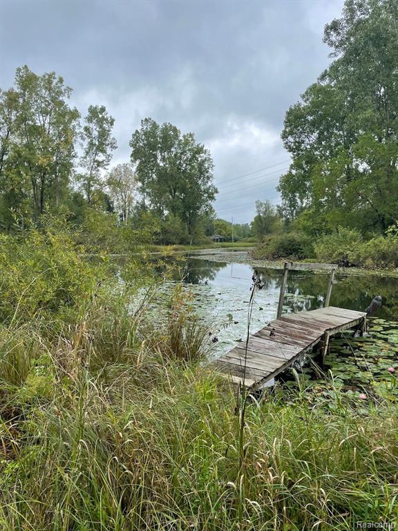 4789 Spears Road Pinckney, MI 48169 - Photo 46 of 47