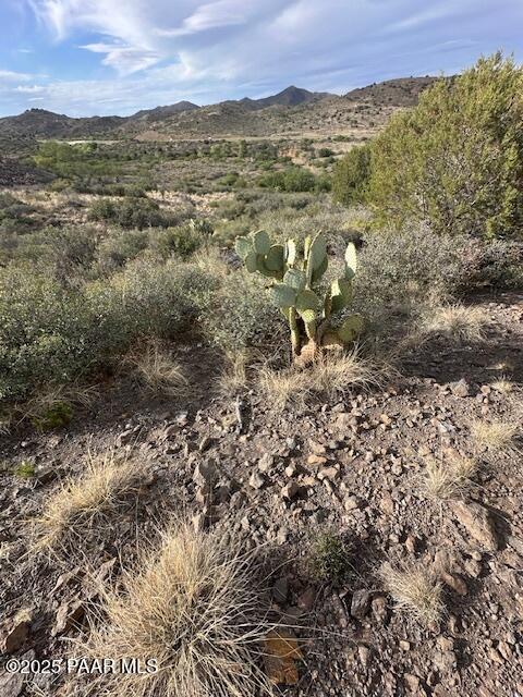 15580 East Rough Rider Ridge Mayer, AZ 86333 - Photo 12 of 18 Amazing Skyline