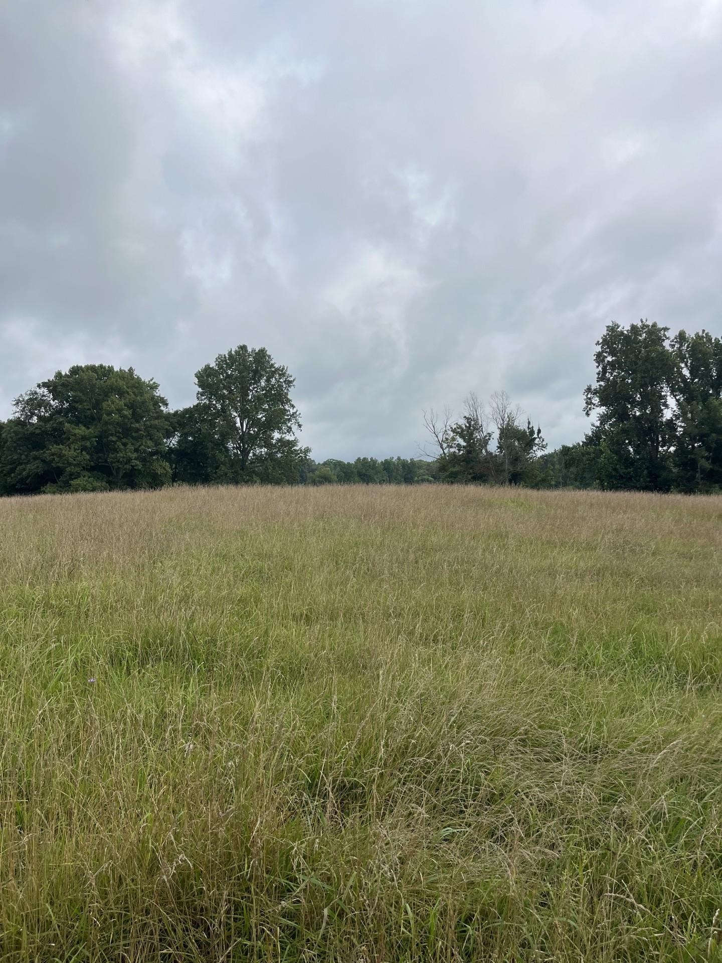 899 East L Smith Road Monroe, TN 38573 - Photo 1 of 18