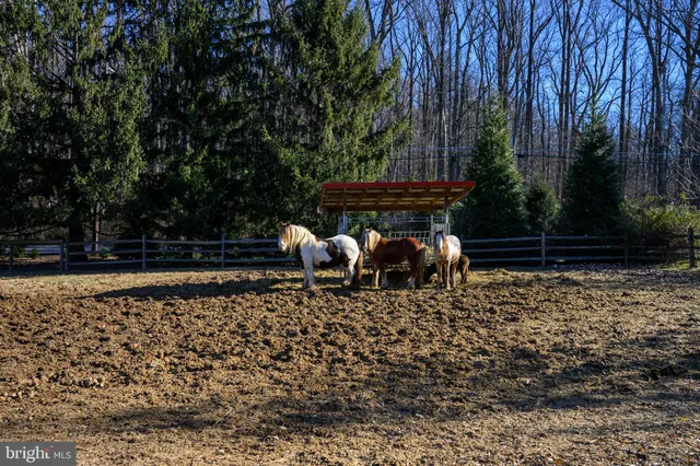 $1,450,000 | 201 Pine Swamp Road, Elverson, PA 19520