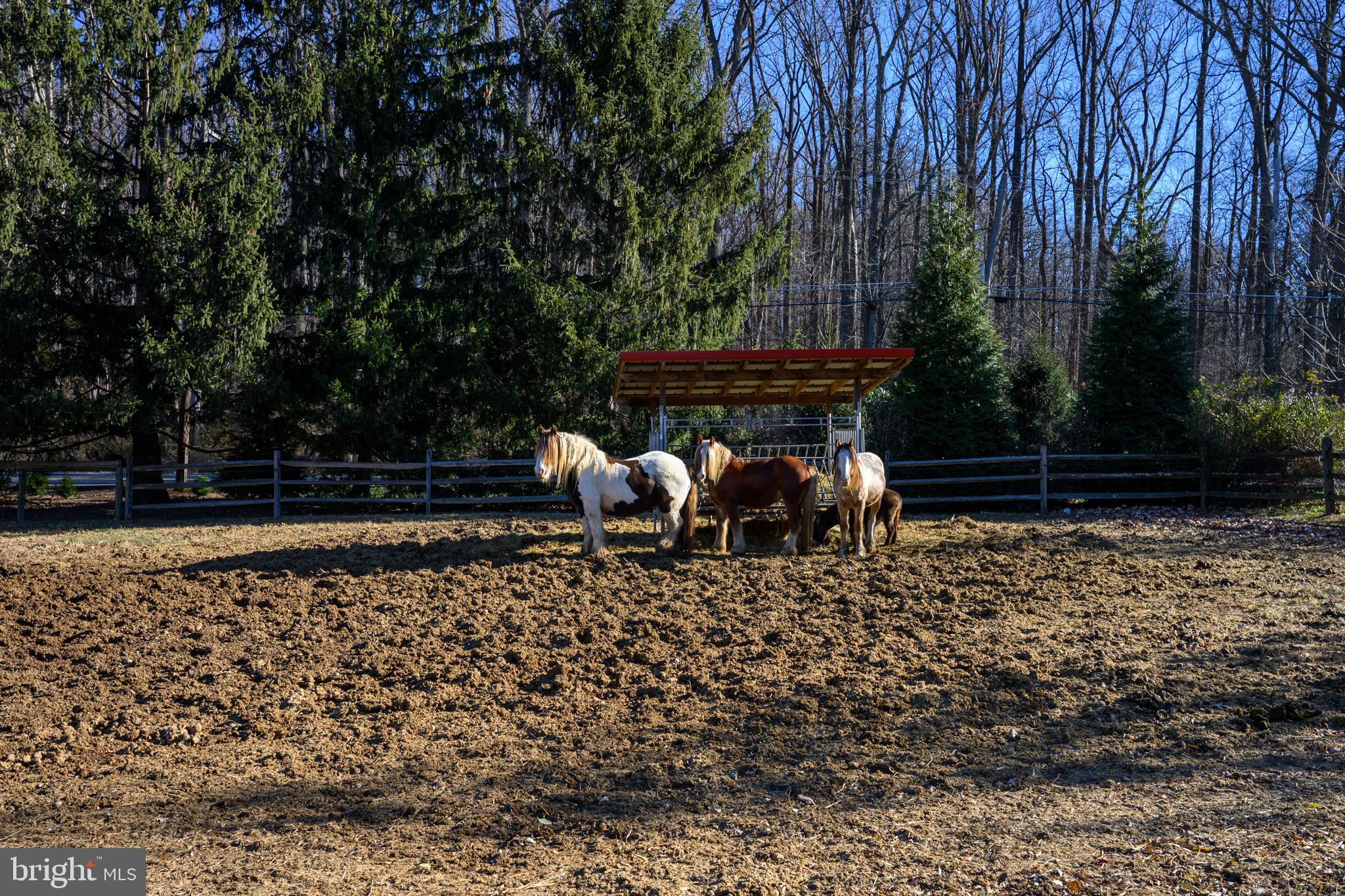 201 Pine Swamp Road Elverson, PA 19520 - Photo 50 of 53 Paddock