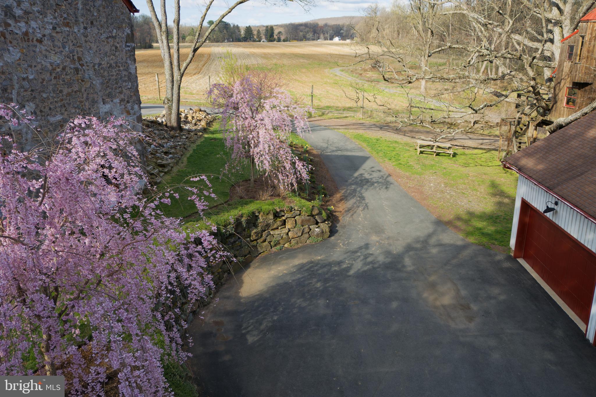 201 Pine Swamp Road Elverson, PA 19520 - Photo 5 of 60 a view of a lake with outdoor space