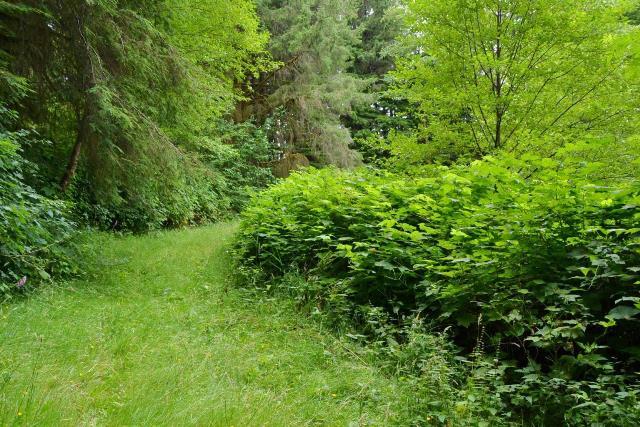 53 Nehalem Or 97131 Nehalem, OR 97131 - Photo 7 of 15 Prop2