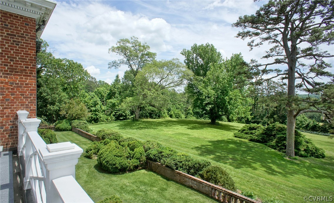 8899 River Road Henrico, VA 23229 - Photo 24 of 50 a view of a backyard with plants
