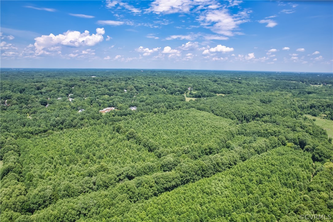 8899 River Road Henrico, VA 23229 - Photo 49 of 50 a view of a big yard with a big yard