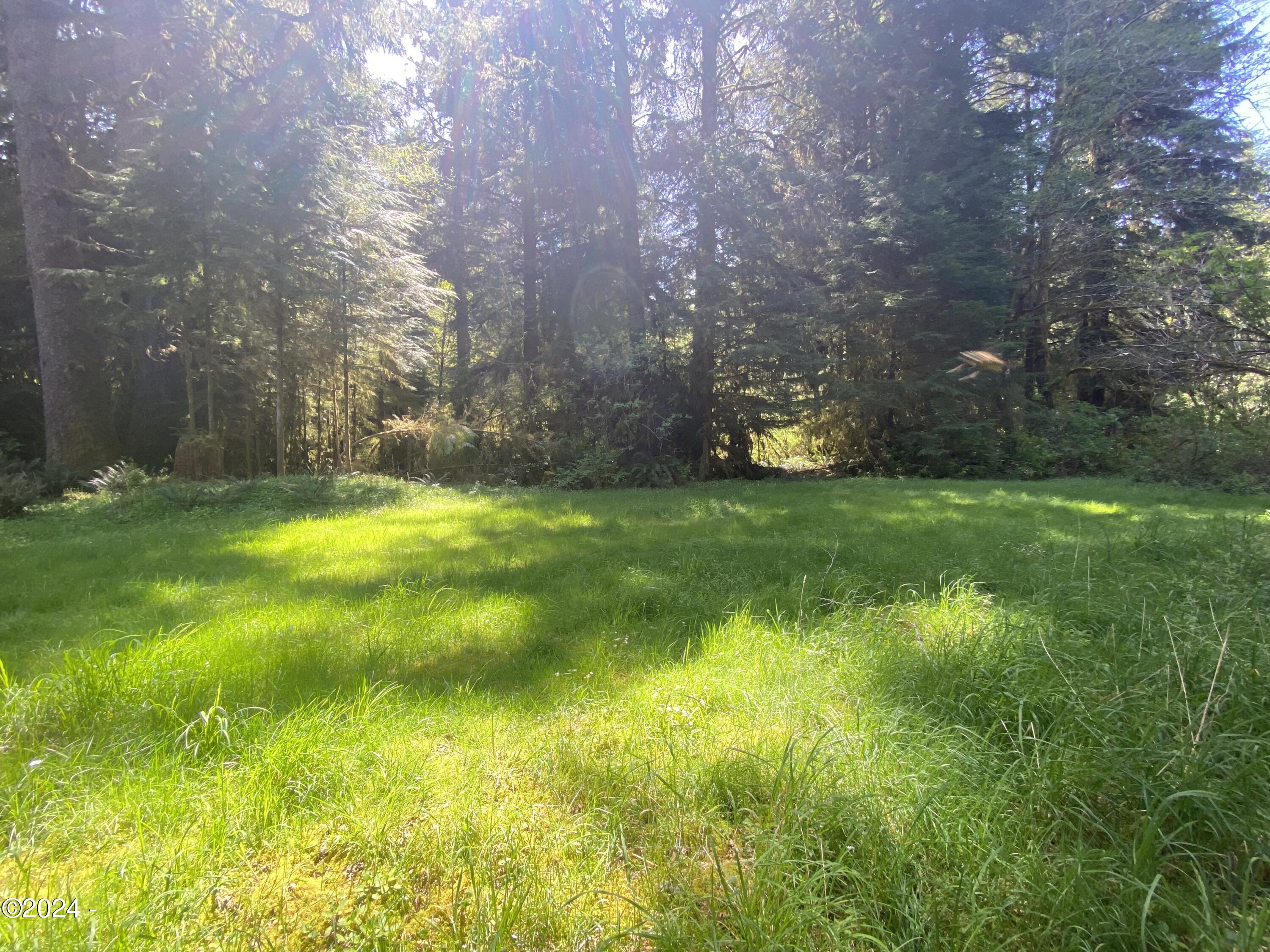 1000 Hamer Road Siletz, OR 97380 - Photo 3 of 11 Possible Homesite