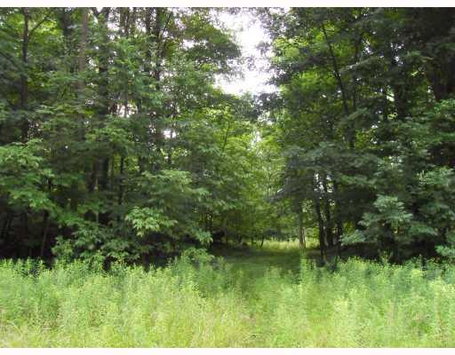 422 East Rt Pine Penn Run, PA 15765 - Photo 1 of 4 Land/Lot. Beautiful site to build home or your get away camp.