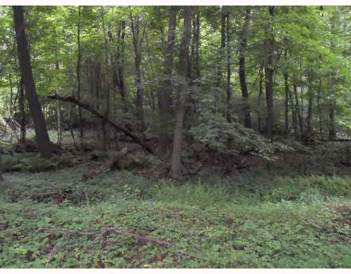 422 East Rt Pine Penn Run, PA 15765 - Photo 2 of 4 Land/Lot. Build your home or camp and enjoy the peacefulness of the woods around you.
