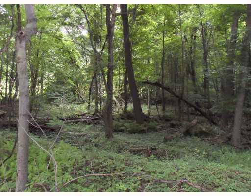 422 East Rt Pine Penn Run, PA 15765 - Photo 3 of 4 Land/Lot. Yellow Creek is right down the road enjoy fishing, swimming, camping ,canoeing and boating.