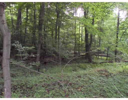 422 East Rt Pine Penn Run, PA 15765 - Photo 4 of 4 Land/Lot. 2 acres of wooded land in Beautiful area near Yellow Creek State Park