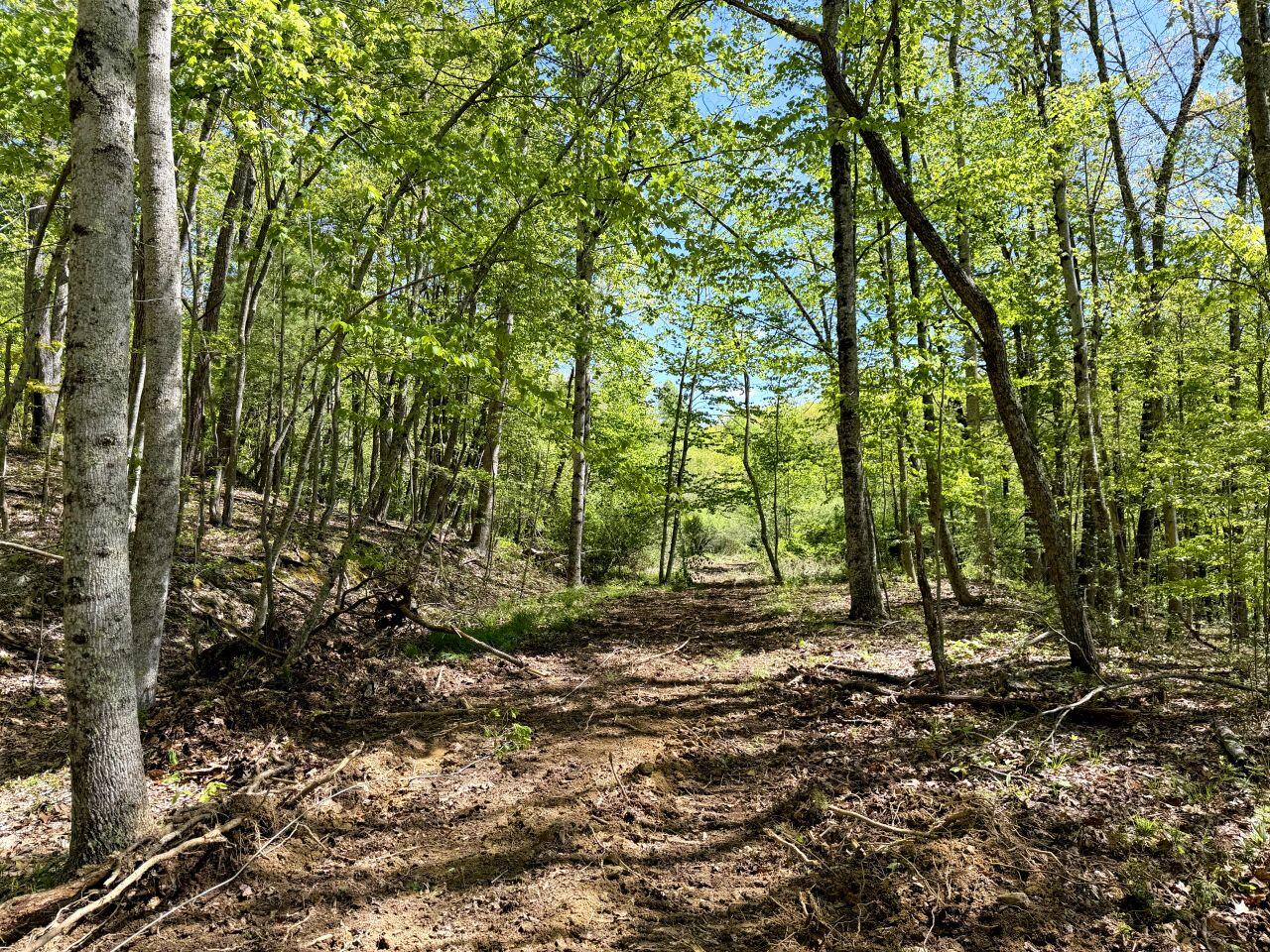 0 Hinton Road White Oak, WV 25989 - Photo 1 of 11 Tract-11
