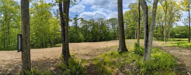 a view of a yard with plants